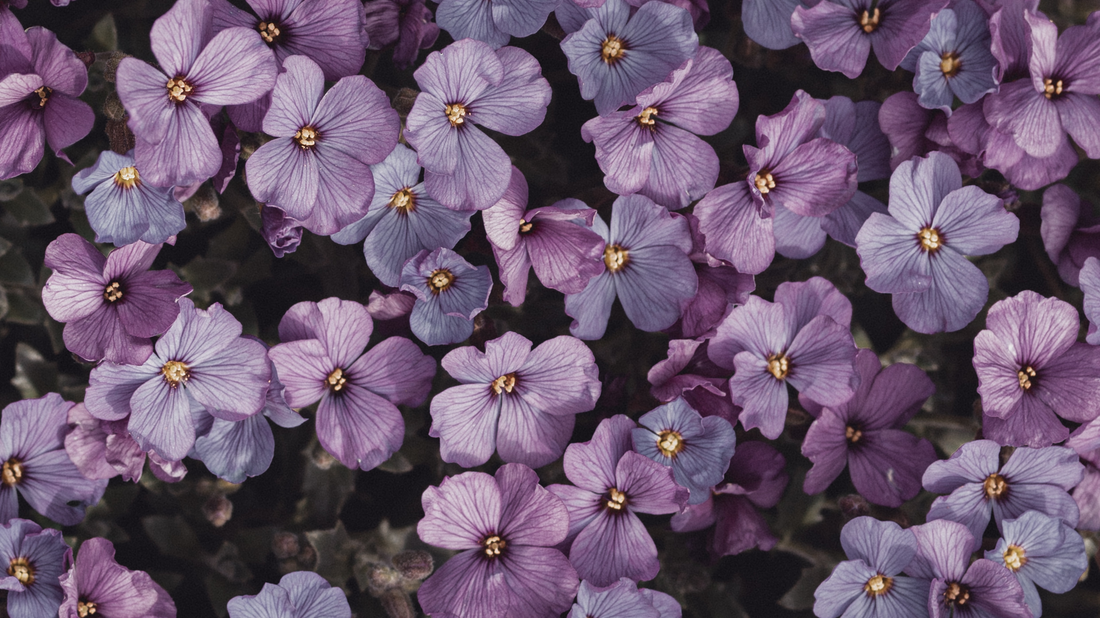 Florals